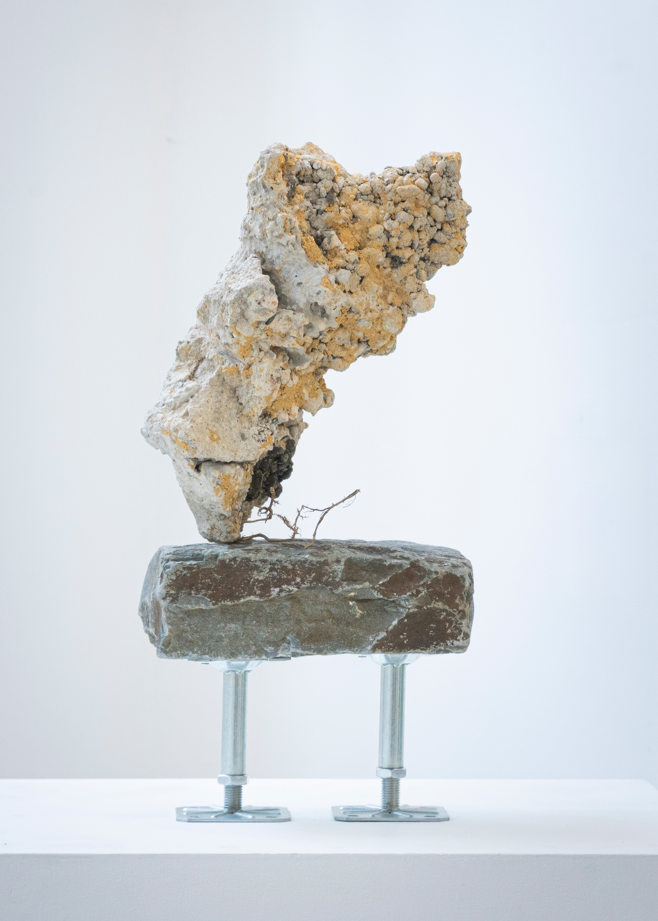 Neumünster's Scholar's Rock